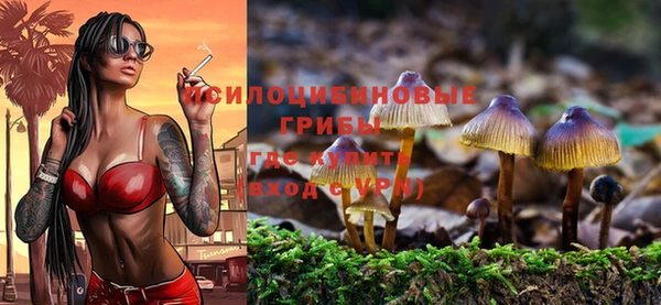 спайс Алзамай