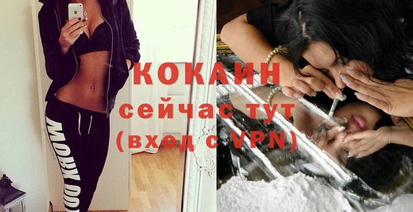PSILOCYBIN Абаза