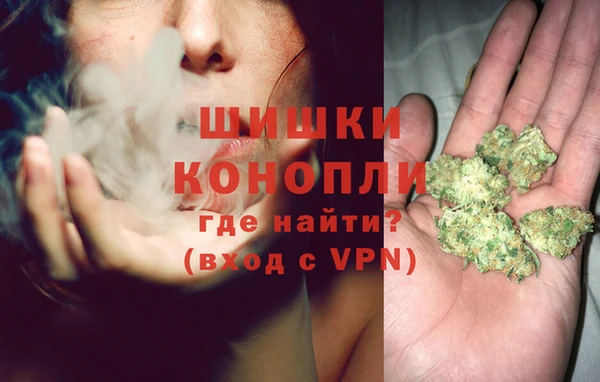 спайс Алзамай