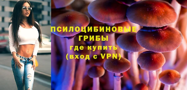 PSILOCYBIN Абаза