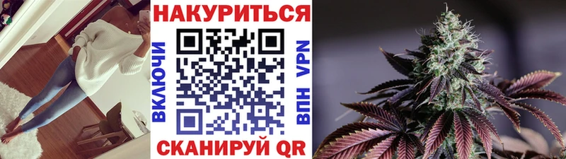 Бошки Шишки планчик  Чулым 